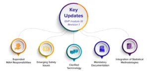 Pharmacovigilance Signal Management Infographic - DataFoundry 2025 Pharmacovigilance signal management process infographic - GVP Module IX workflow steps illustrated by DataFoundry